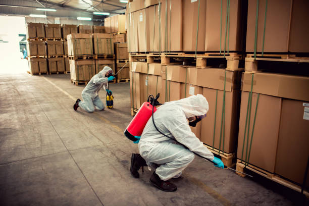 Trusted Oakley, UT Pest Control Experts