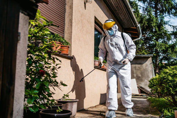 Best Cockroach Control Services  in Oakley, UT
