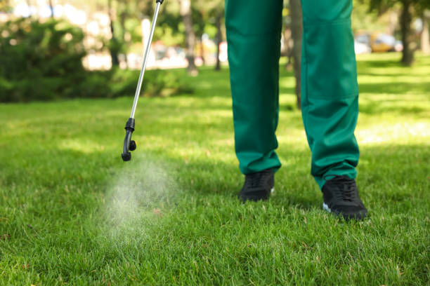 Best Rat Extermination Near Me  in Oakley, UT