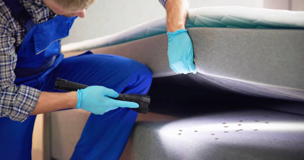 Best Emergency Pest Control  in Oakley, UT