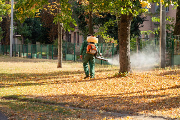 Best Affordable Pest Control Services  in Oakley, UT