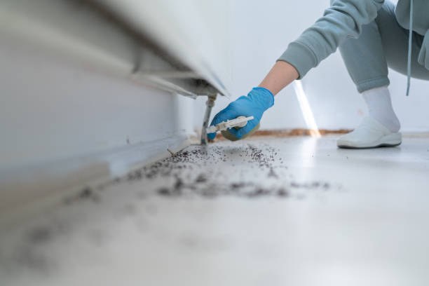 Best Pest Prevention Services  in Oakley, UT